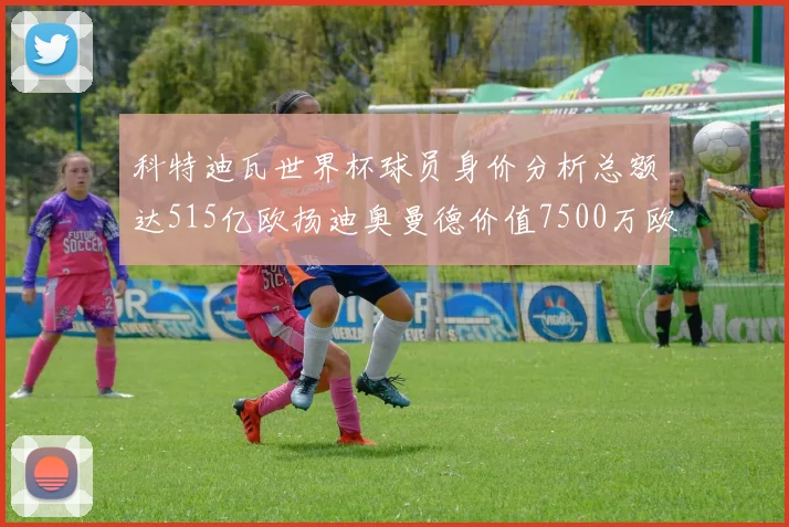 科特迪瓦世界杯球员身价分析总额达515亿欧扬迪奥曼德价值7500万欧